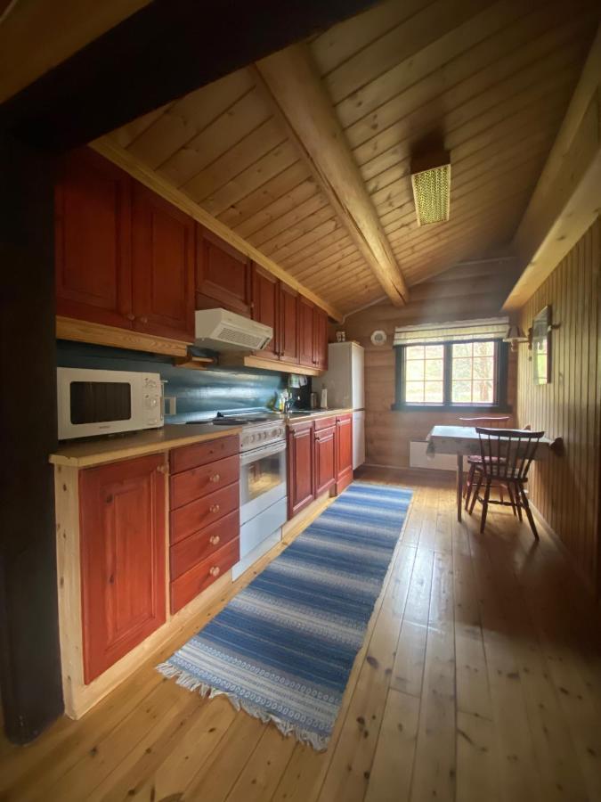 Morgedal Lavvo Camping Hotel Bagian luar foto